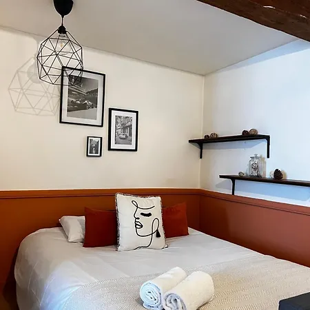 Le Chalotais, Hyper Centre De Apartment